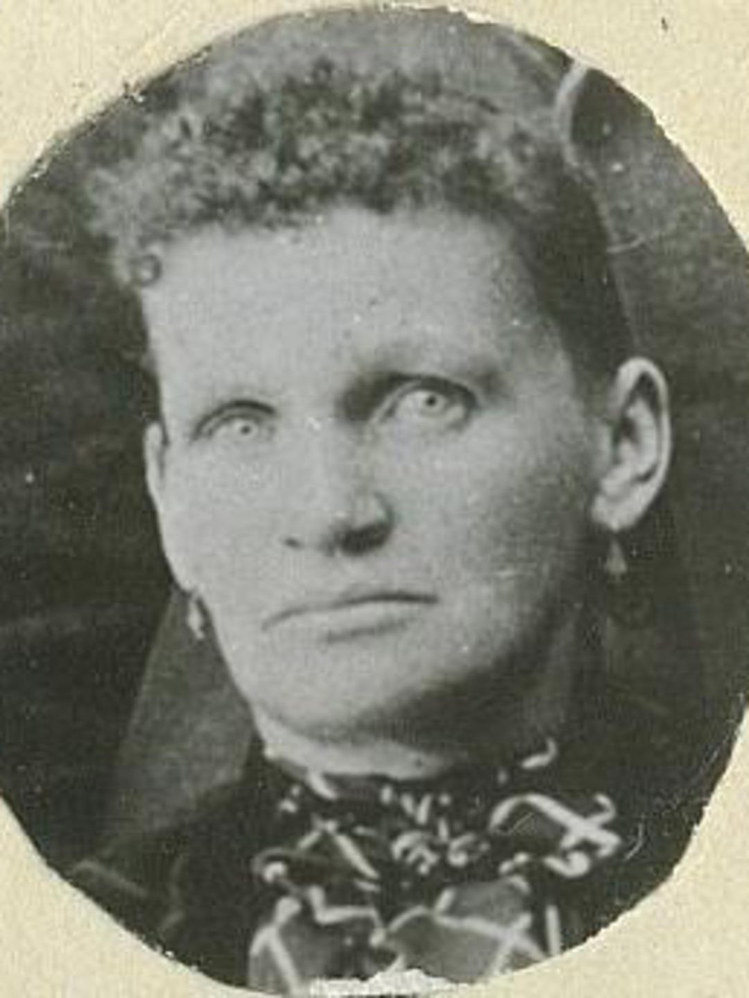 Mary Ellen Halliday (1860 - 1911) Profile